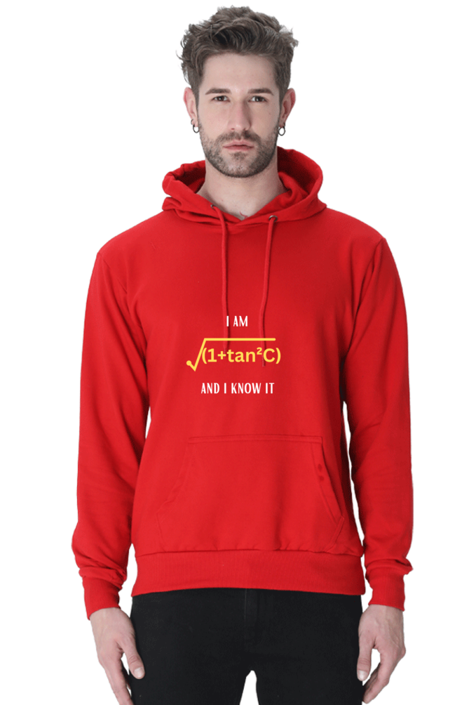 Unisex Hooded SweatShirt Regular Fit - I am sexy and I know it