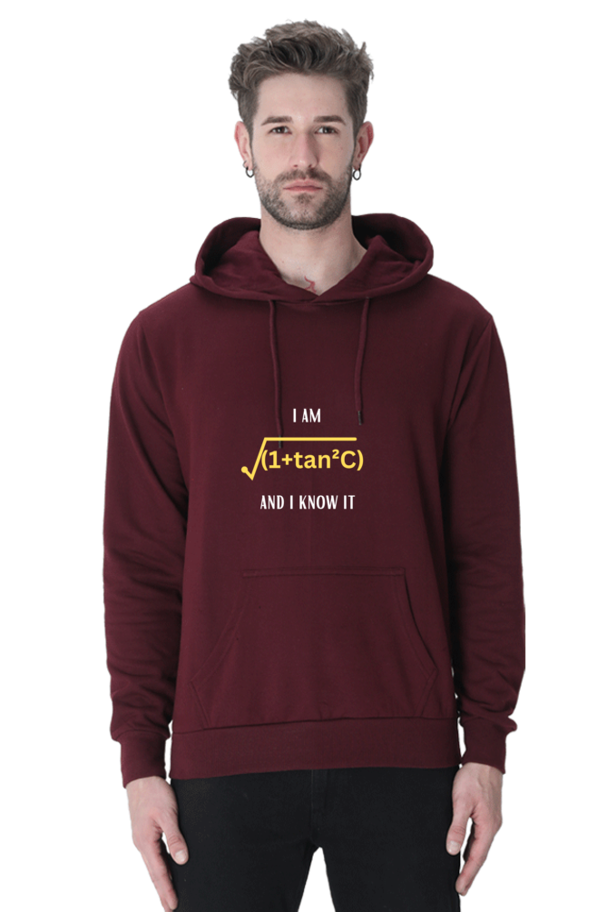 Unisex Hooded SweatShirt Regular Fit - I am sexy and I know it