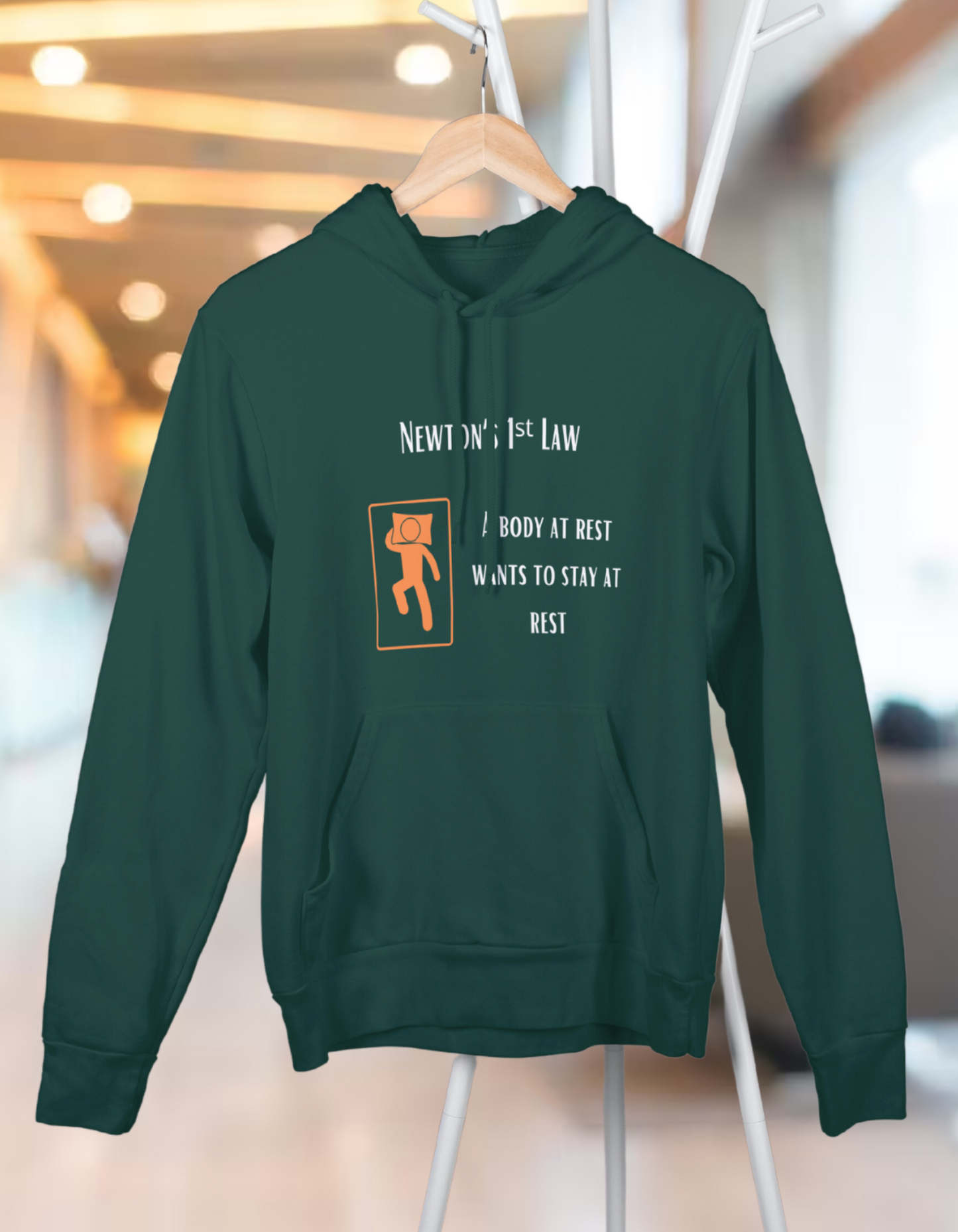 Unisex Hooded SweatShirt Regular Fit - Newton’s First Law, Physics T-Shirt